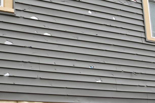 Same-Day Junk Removal Services in Brookside, AL